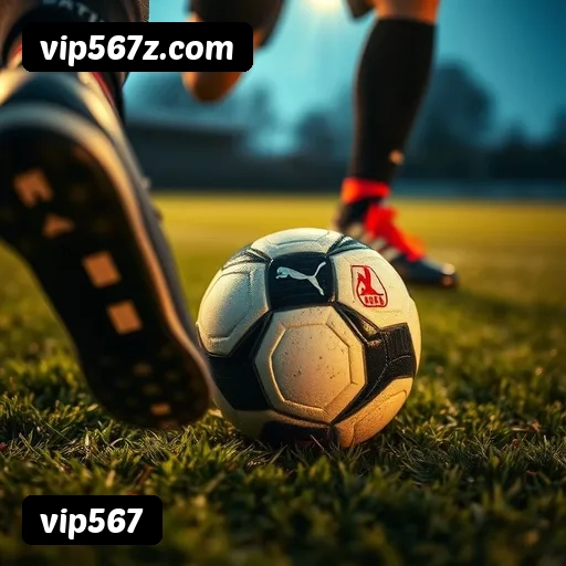 Níveis do programa VIP da vip567